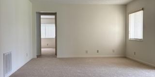 331 Knotty Pine Circle Gallery 9
