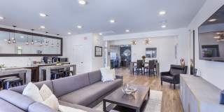 Aventura at Towne Centre Gallery 3