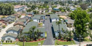 University Palms Gallery 17