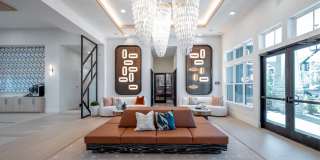 Alta Citron Gallery 11