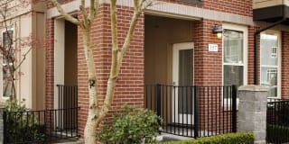 Avalon Bellevue Gallery 26