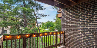 5539 Green Mountain Cir Gallery 7