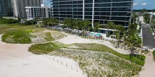 900 N Ocean Boulevard 902 Gallery 49
