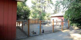 Charming 3-Bedroom Home Across from Orchard Park Gallery 15