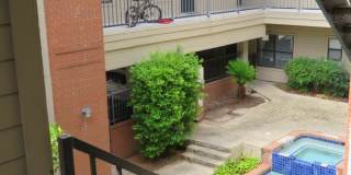 WINDTREE 306 Gallery 39
