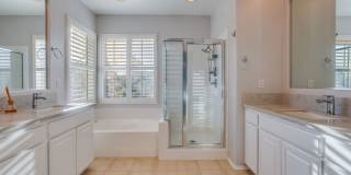 24040 Dandelion Lane Gallery 1