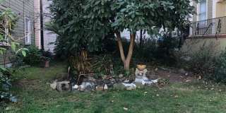 14 Leona Terrace Gallery 17