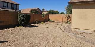 18515 W Caribbean Gallery 29