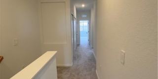 2951 Citrus Street Gallery 18