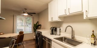 The Element The Element Gallery 9