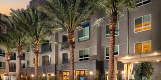 Chroma Apartment Homes Chroma Apartment Homes Gallery 44