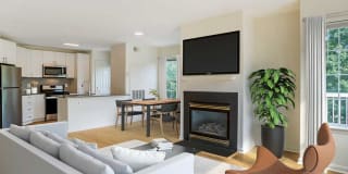 Avalon Tysons Corner Gallery 2