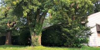 Huntington 01 Gallery 1