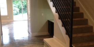 Wildwood 1 Gallery 23