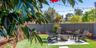 Pruneyard West Gallery 46