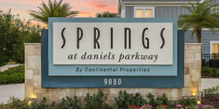 Springs at Daniels Parkway Gallery 29