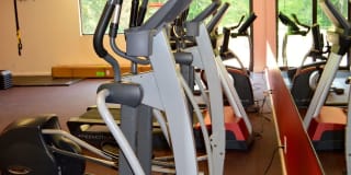 University Garden Apartment Homes Gallery 23