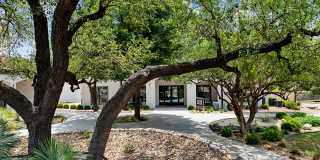 Paseo Bee Cave Gallery 35