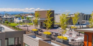 The Chloe Apartments Gallery 42