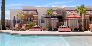 Sonoma Palms Gallery 21