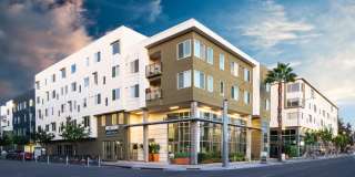 LINQ LINQ Gallery 21