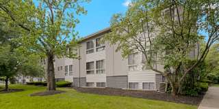 Rosehill Plaza Gallery 10