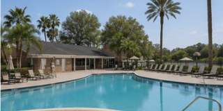 1/1 Lakefront Living in Carrollwood! Available July 10th! Gallery 17