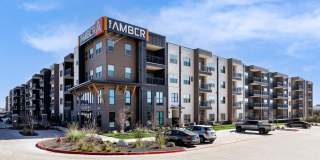 The Amber Gallery 38