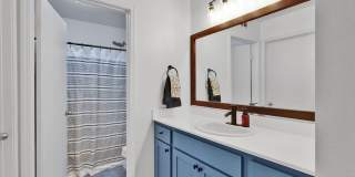 5 Bedroom on Falcon Gallery 8