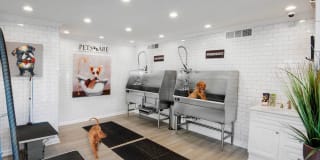 Advenir at Winterset Gallery 19