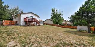 Huge yard with Pikes Peak Views! Gallery 30