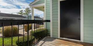 Steeplechase Gallery 11