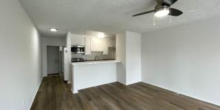 6736 Cleon Ave Gallery 4