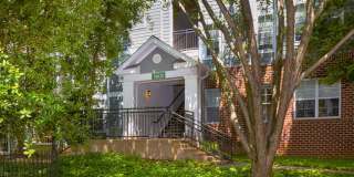 J Harbor Park at North Point Gallery 55