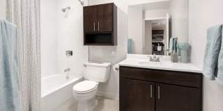 Chestnut Place Gallery 5