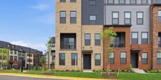 14421 ALBEMARLE POINT Place Gallery 1