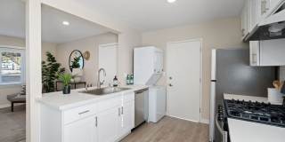 240 Spring Street Gallery 8