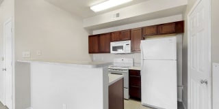 Alexis at Perry Pointe Gallery 47