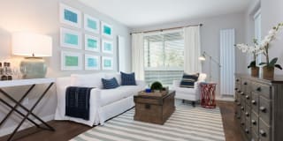 Bell Mt. Tam Gallery 5