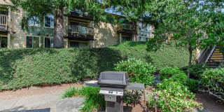 Carrington Gallery 23