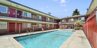 Twin Palms Gallery 1