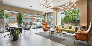 The Patton Gallery 15