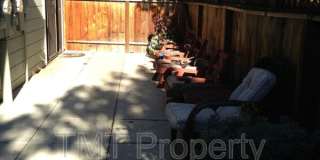 881-D Peach Gallery 7