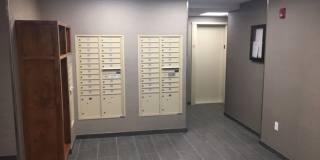 Nice 2 bed in Brookline Gallery 5