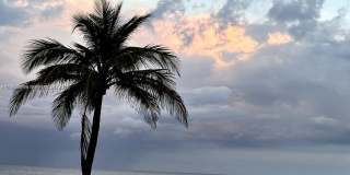 3850 Galt Ocean Drive 111, Fort Lauderdale, FL 33308 Gallery 16