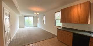 Downtown Phoenix Gallery 4