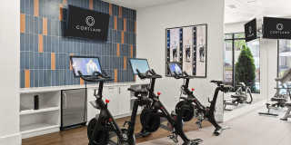 Cortland at the Hill Gallery 36