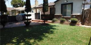 10414 Dorothy Gallery 1