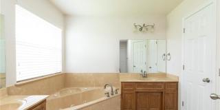 2605 Wisteria Lane Gallery 15