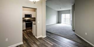 Autumn Grove Gallery 27